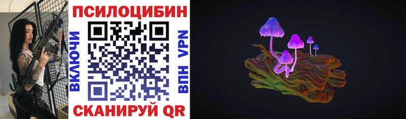 Купить  Осташков  Галлюциногенные грибы мицелий 